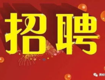 个人招聘员工怎么发布,个人招聘员工，高效发布招聘信息攻略